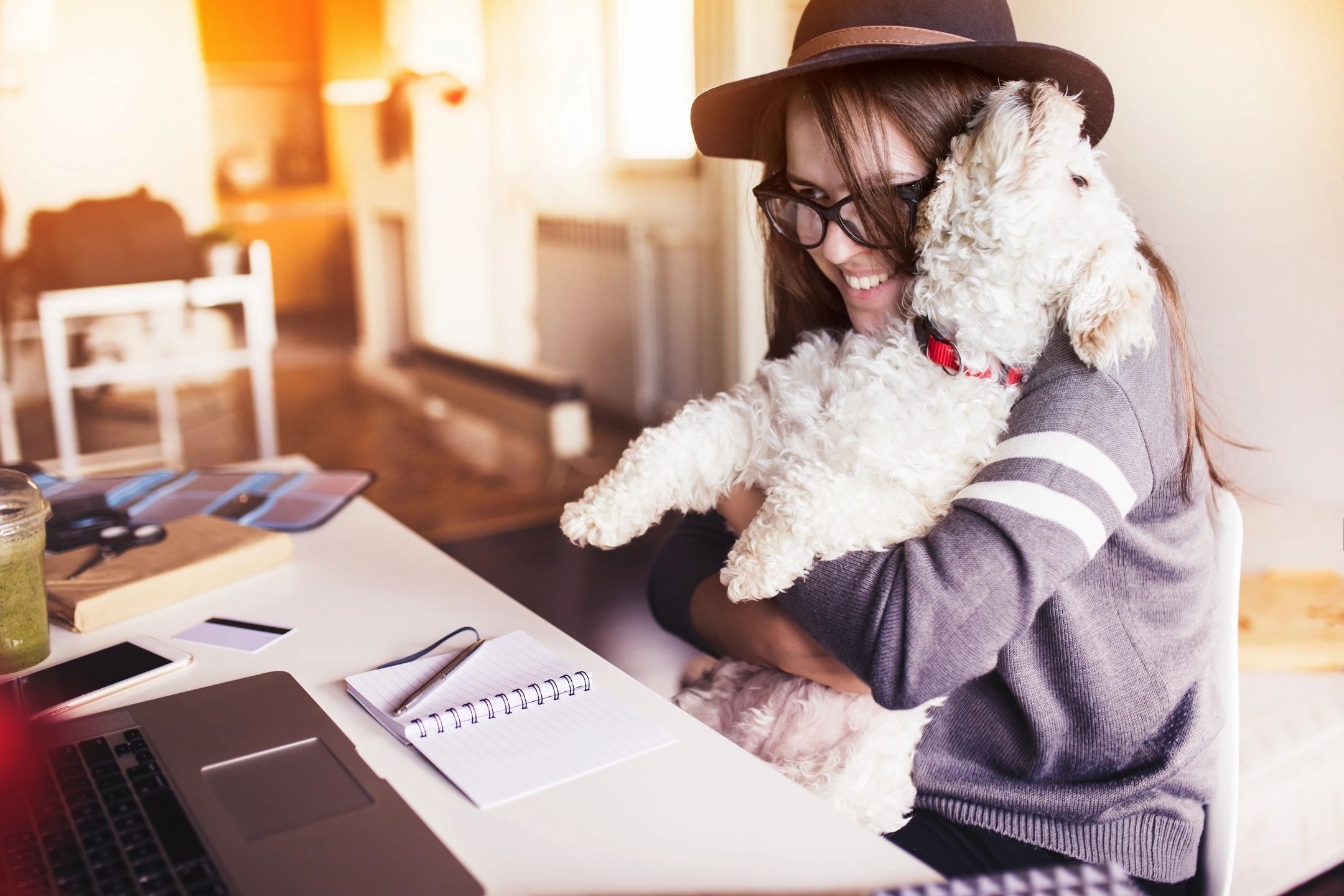 Woman holding white dog at desk in sunlit office